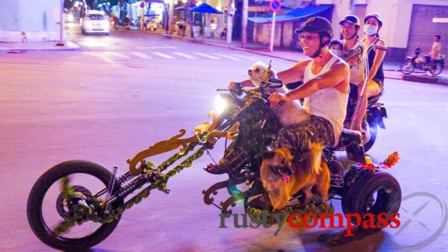 Fancy dogs on fancy bikes in Saigon